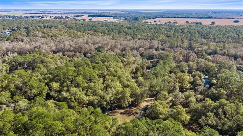 10377 SW 186th Avenue Dunnellon FL 34432