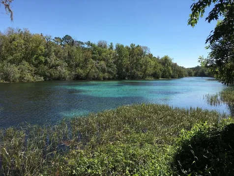 10377 SW 186th Avenue Dunnellon FL 34432