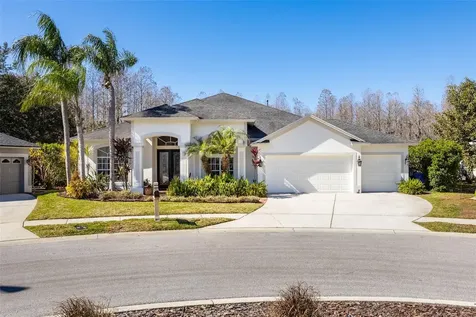 19817 Glazing Globe Lane Lutz FL 33558