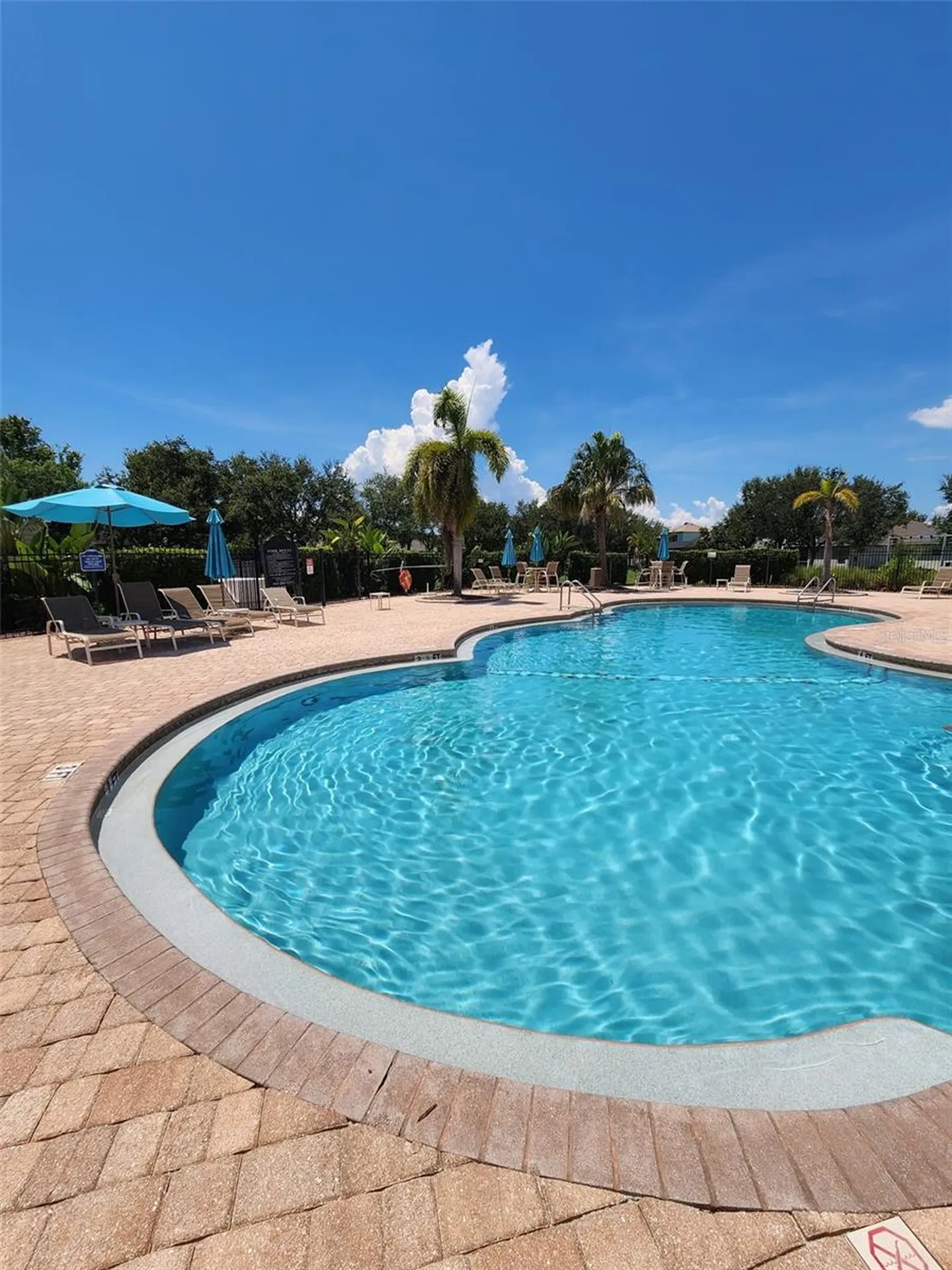 1829 Mira Lago Circle Ruskin FL 33570