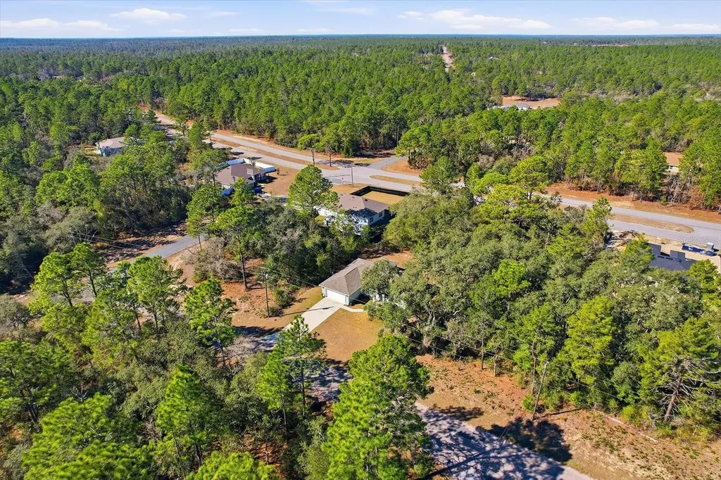 8776 N Athens Drive Citrus Springs FL 34433