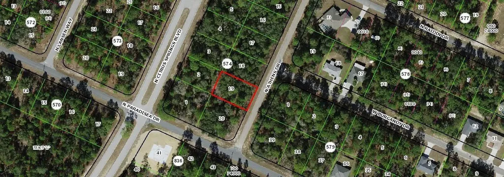 8776 N Athens Drive Citrus Springs FL 34433