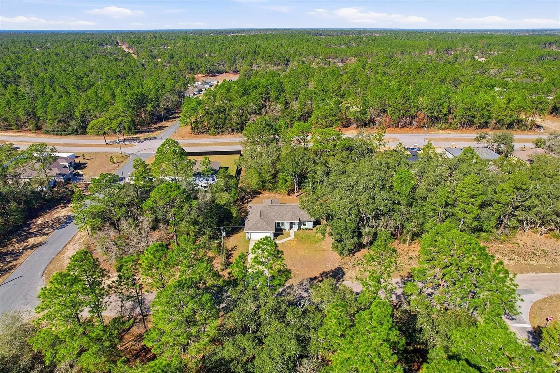 8776 N Athens Drive Citrus Springs FL 34433