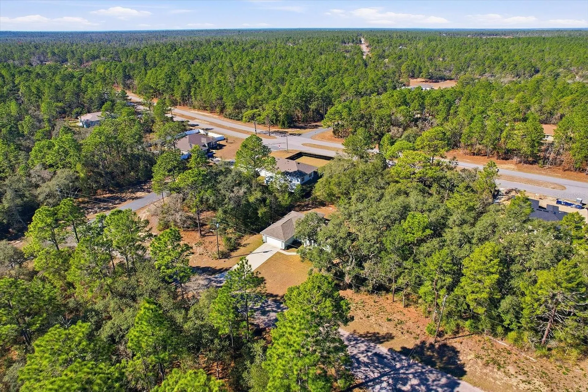8776 N Athens Drive Citrus Springs FL 34433