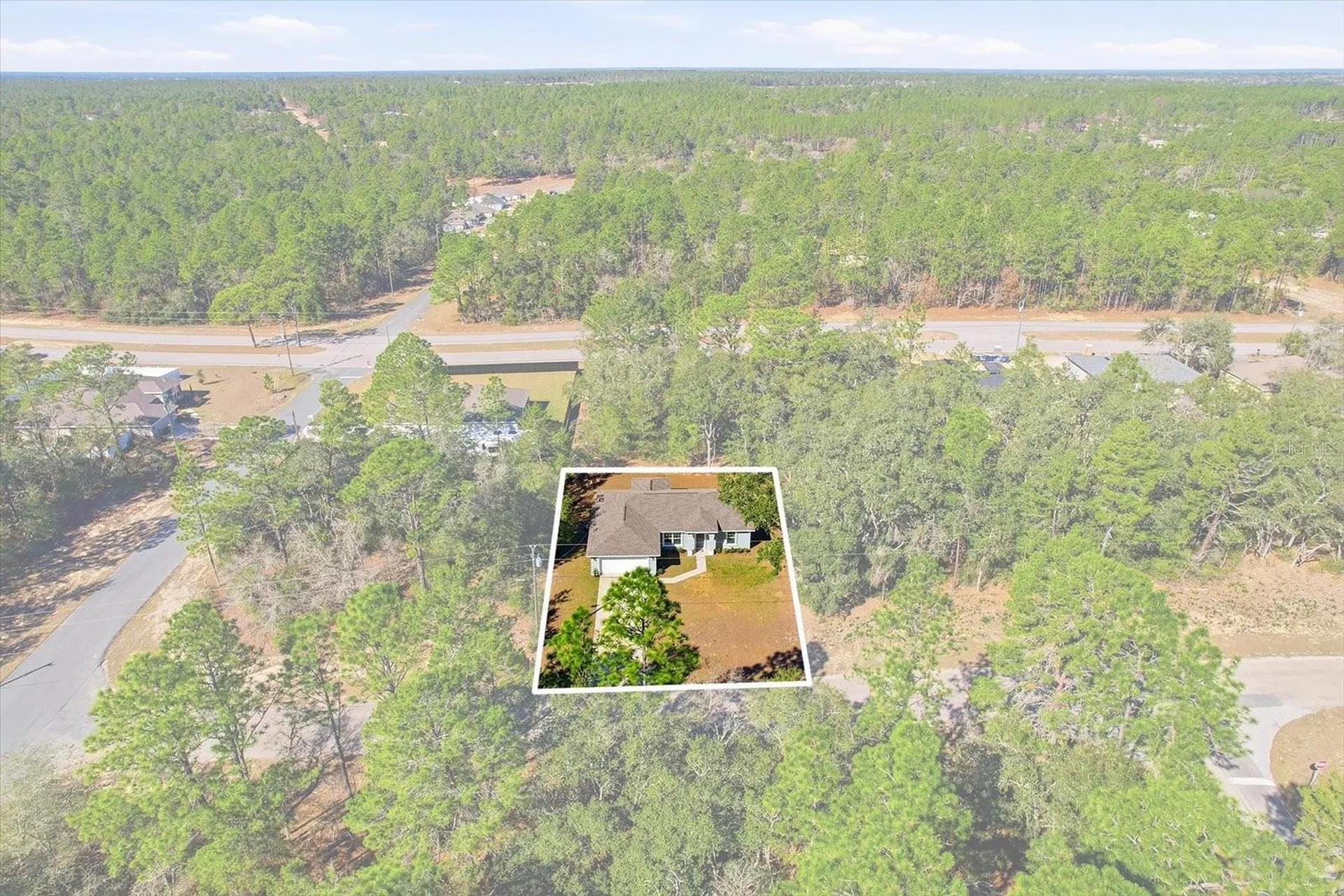 8776 N Athens Drive Citrus Springs FL 34433
