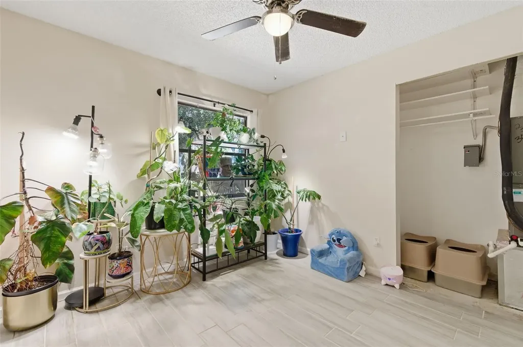 821 Pine Street Tarpon Springs FL 34689