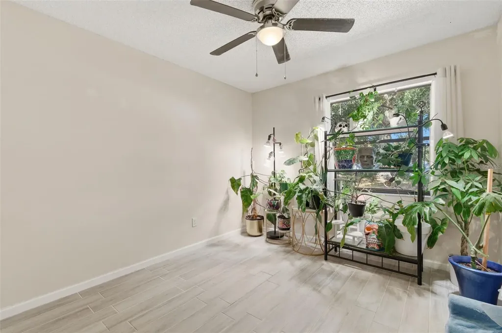 821 Pine Street Tarpon Springs FL 34689