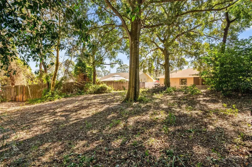 821 Pine Street Tarpon Springs FL 34689