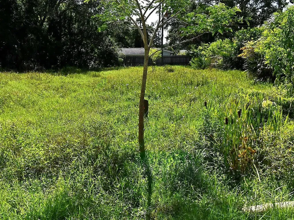 Olive Avenue Nokomis FL 34275