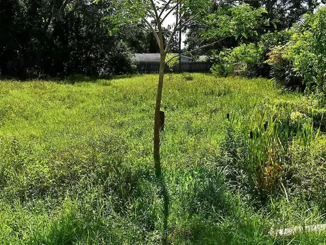 Olive Avenue Nokomis FL 34275