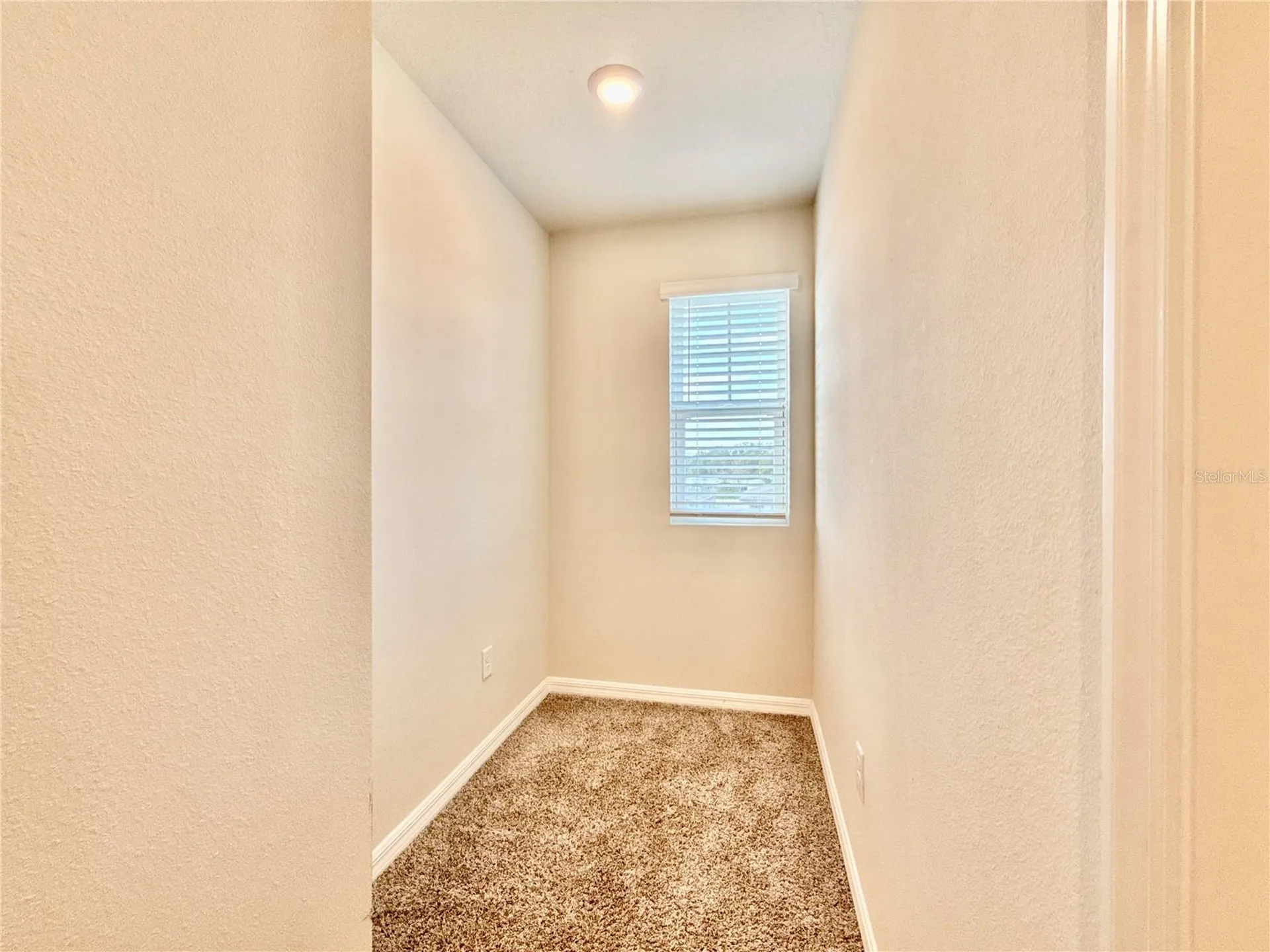 3204 Fresno Place Zephyrhills FL 33541