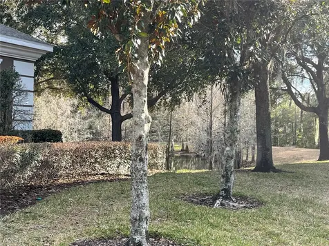 3115 Capri Isle Way Orlando FL 32835