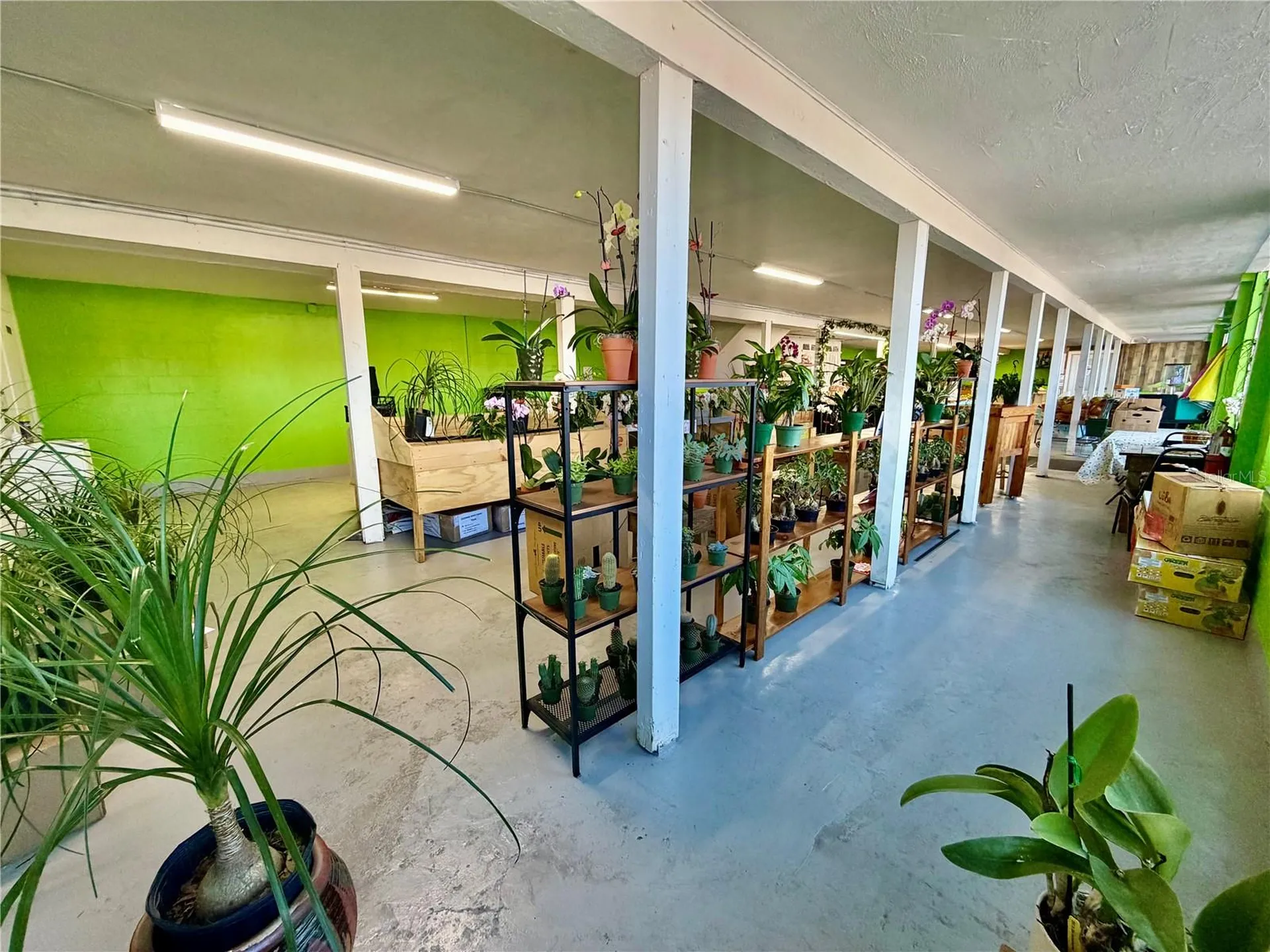 4022 54th Avenue N St Petersburg FL 33714