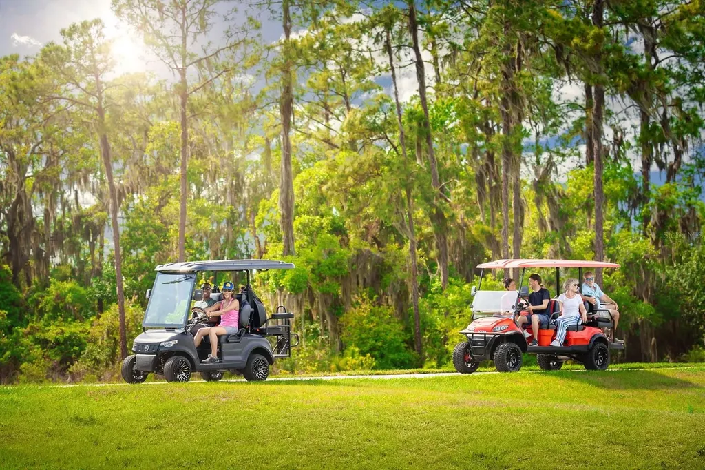 11193 Saro Spur San Antonio FL 33576