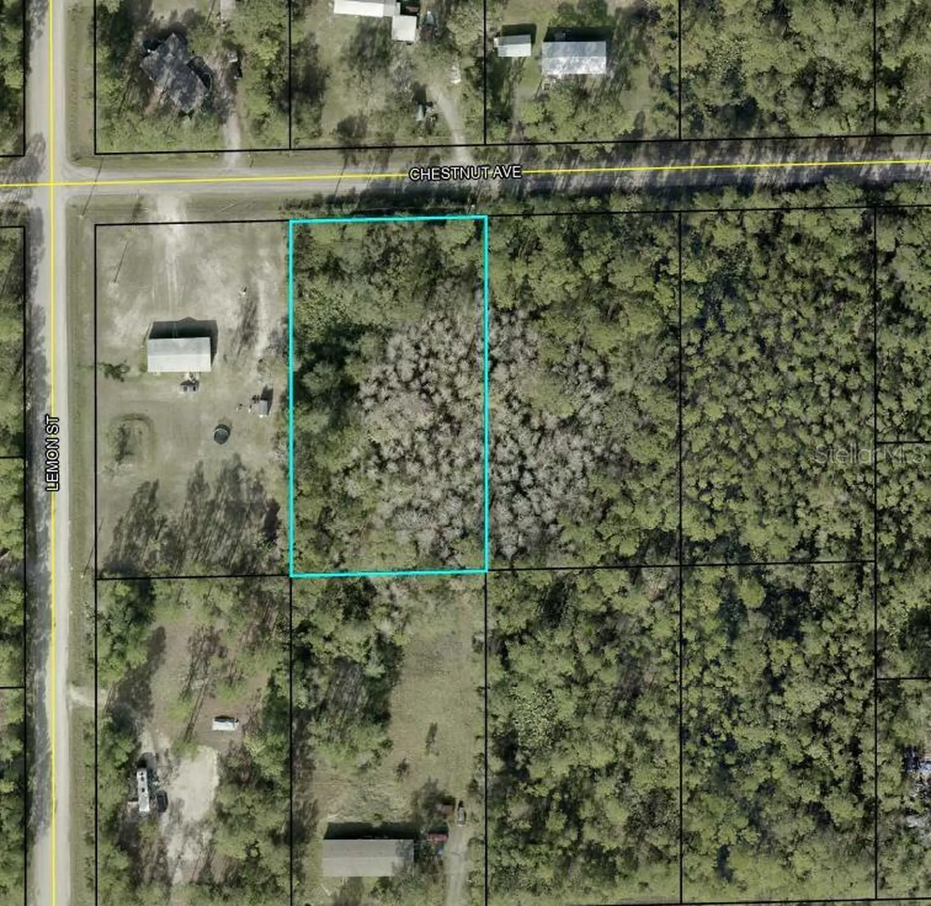 5603 Chestnut Avenue Bunnell FL 32110