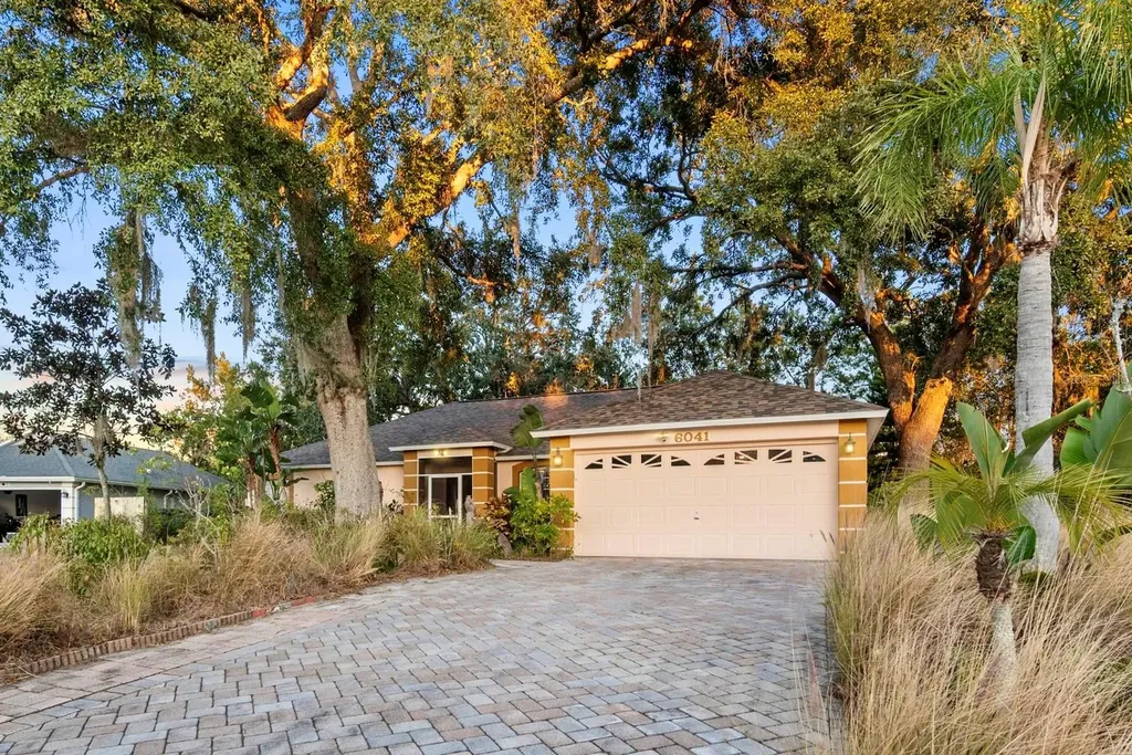 6041 Canopy Oaks Court New Port Richey FL 34653