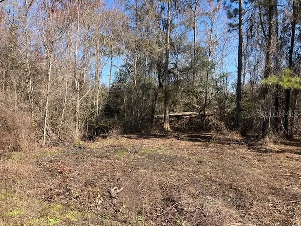 1881 Hazelnut Street Bunnell FL 32110