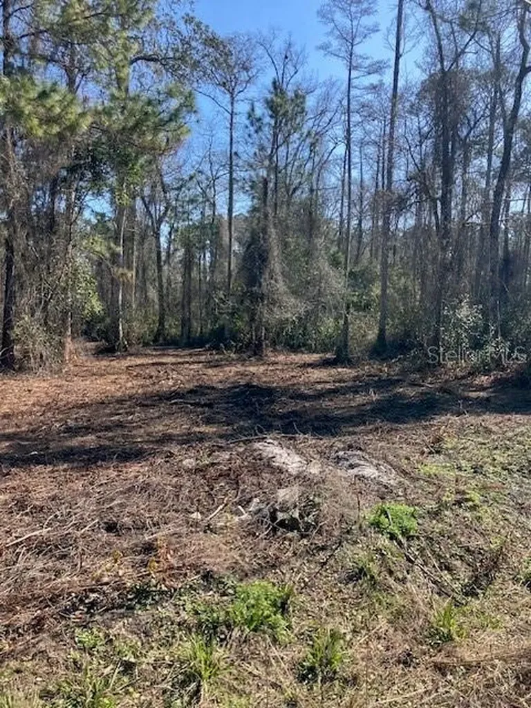 1881 Hazelnut Street Bunnell FL 32110
