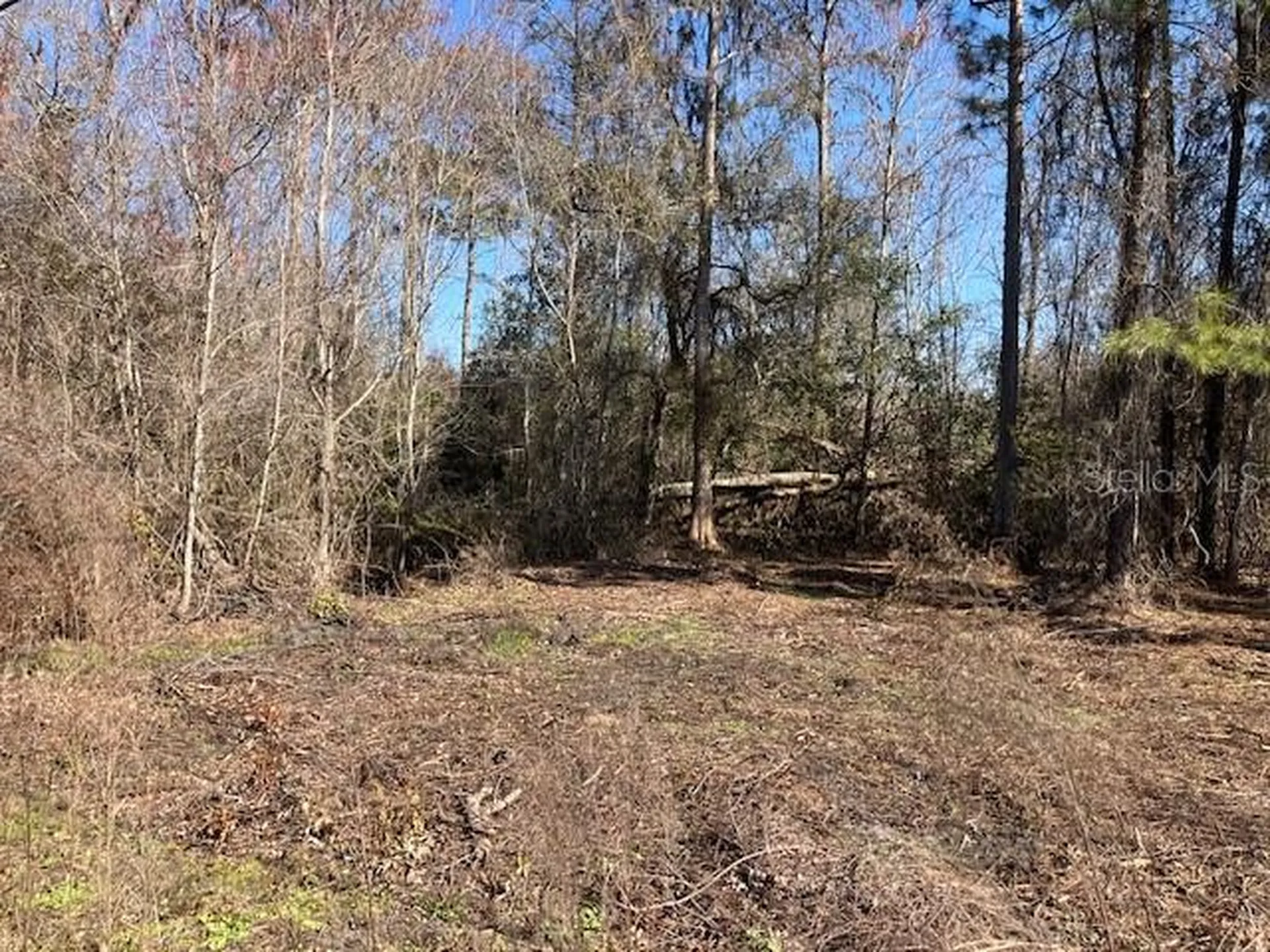 1881 Hazelnut Street Bunnell FL 32110