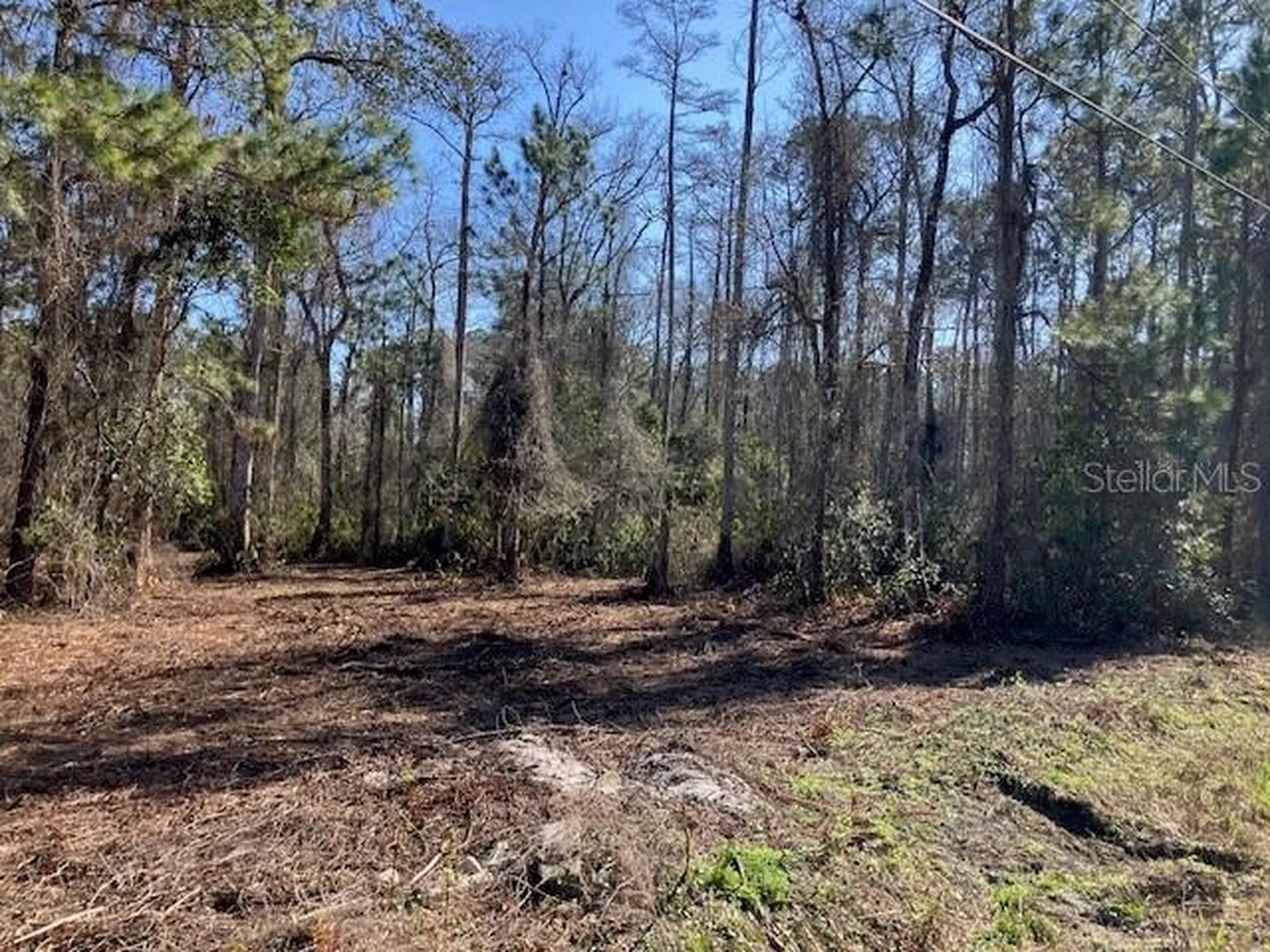 1881 Hazelnut Street Bunnell FL 32110