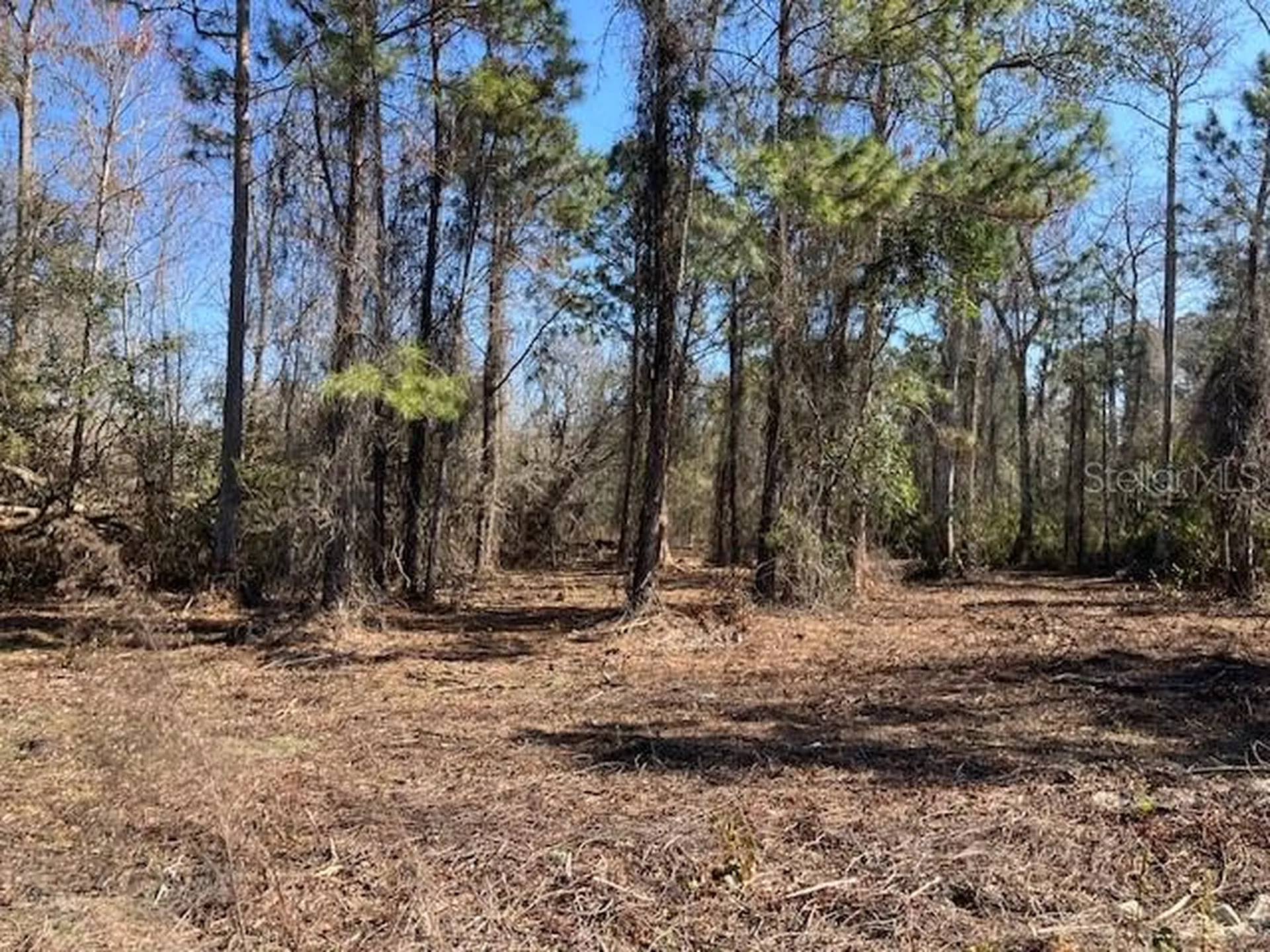 1881 Hazelnut Street Bunnell FL 32110