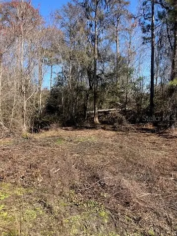 1881 Hazelnut Street Bunnell FL 32110