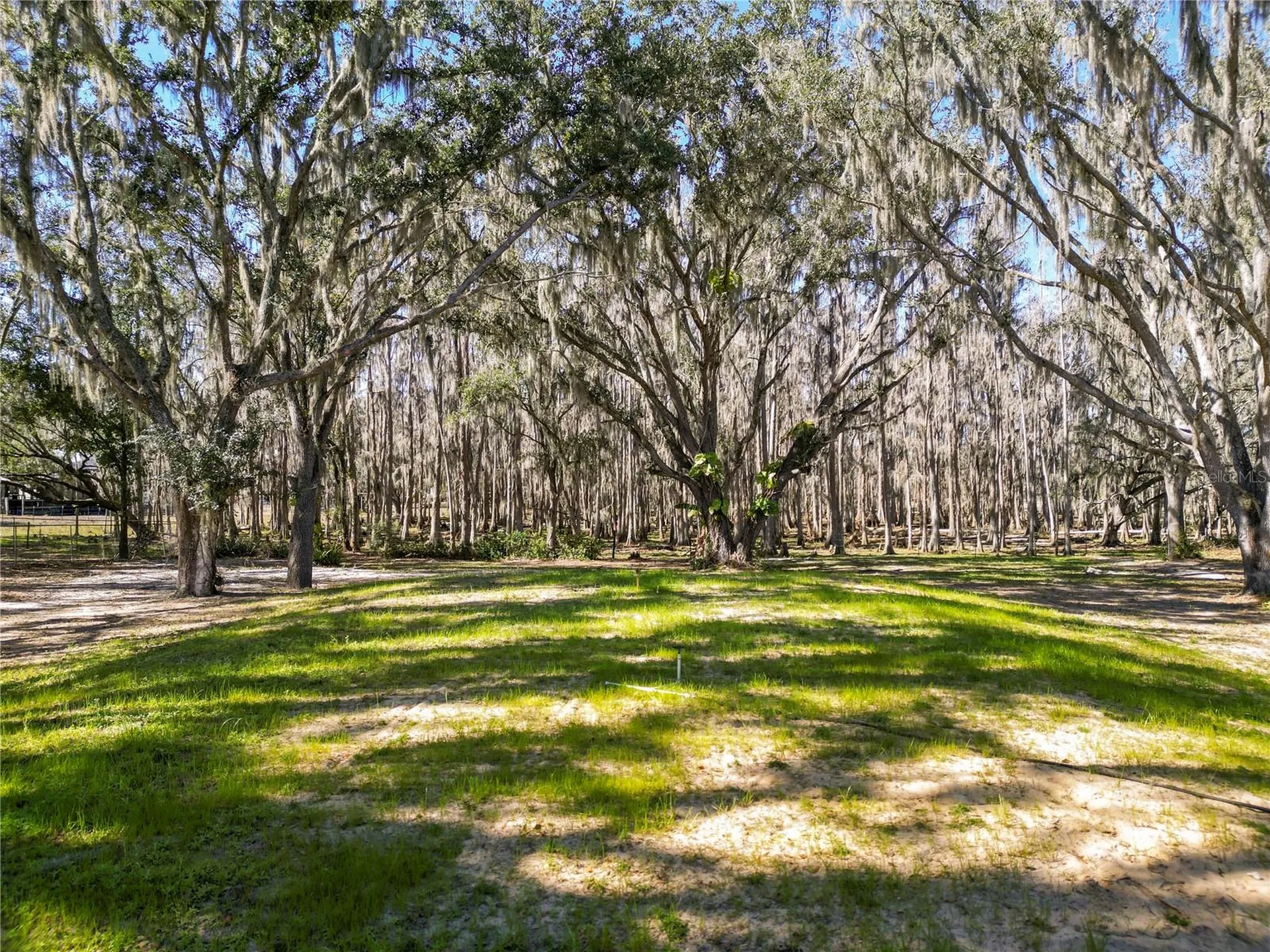 7405 Shoupe Road Plant City FL 33565