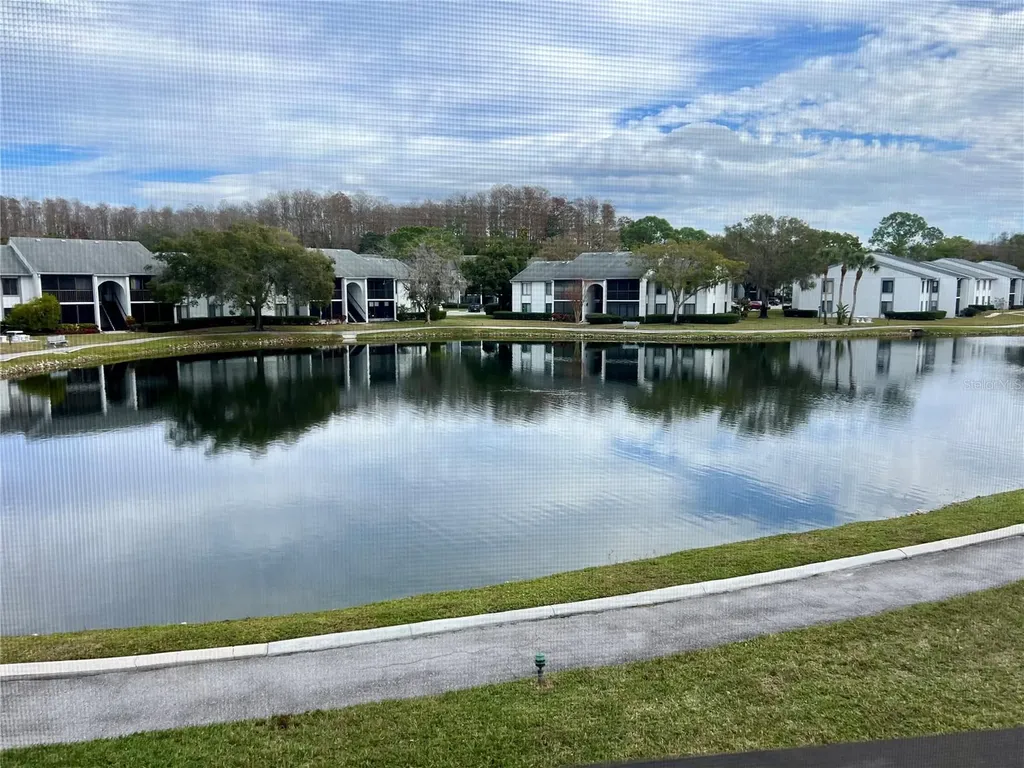 1151 Pine Ridge Circle W Tarpon Springs FL 34688