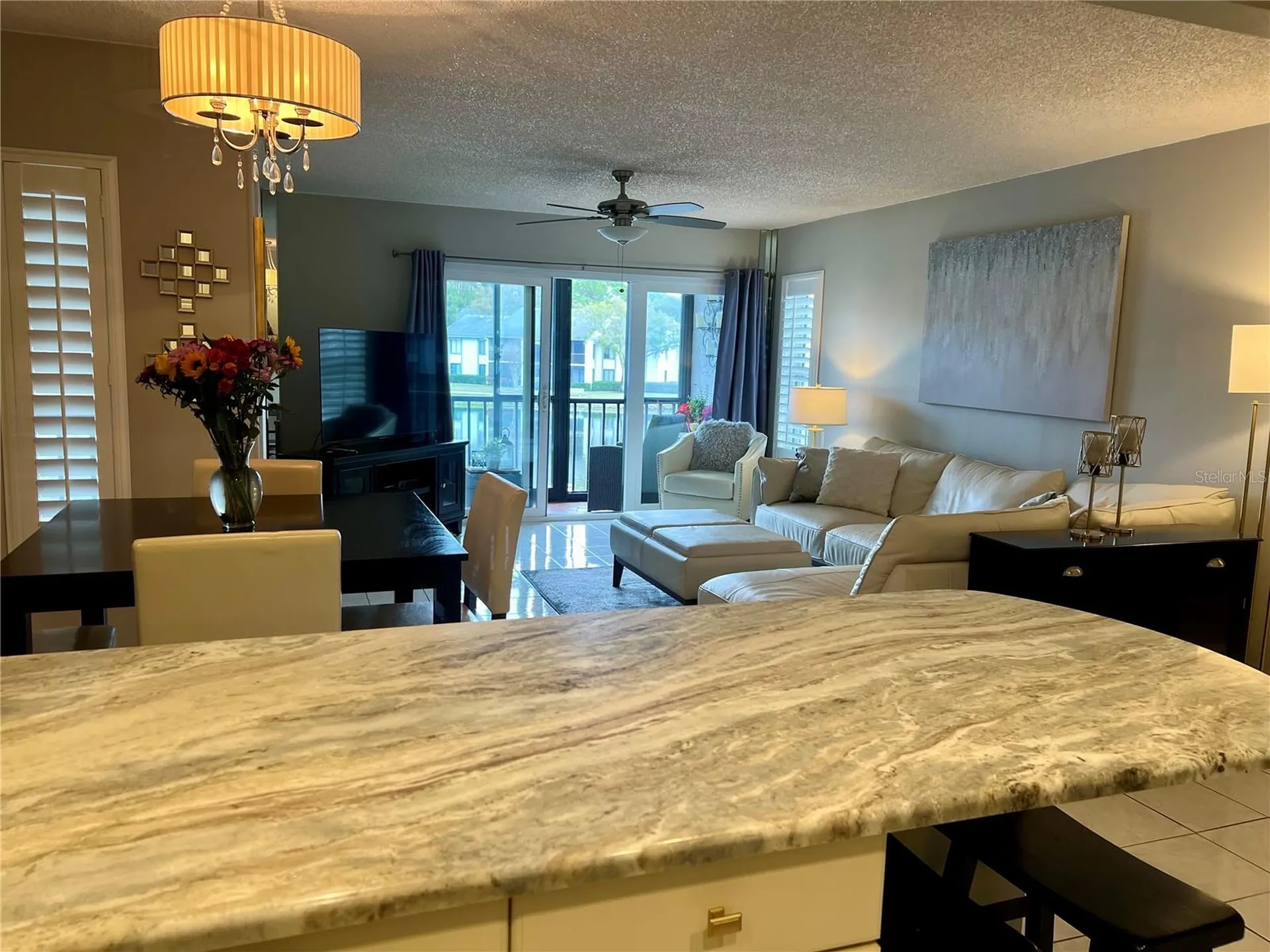 1151 Pine Ridge Circle W Tarpon Springs FL 34688