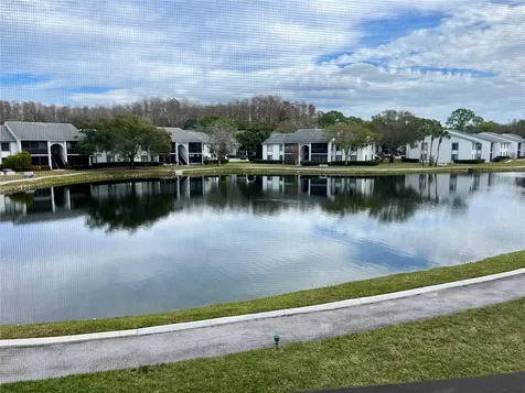 1151 Pine Ridge Circle W Tarpon Springs FL 34688