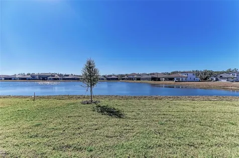 14867 Rider Pass Drive Lithia FL 33547