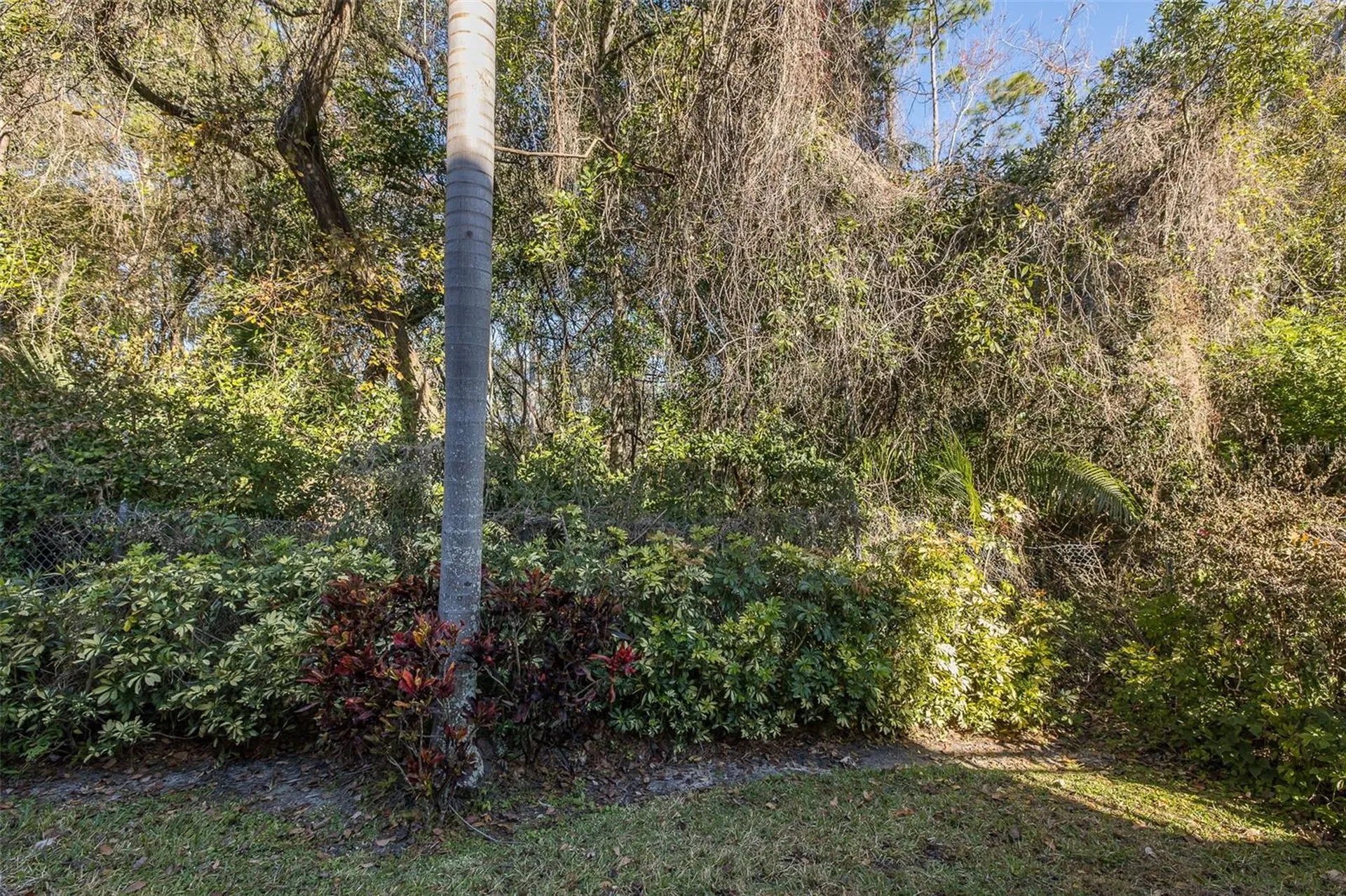 2676 Tanglewood Trail Palm Harbor FL 34685
