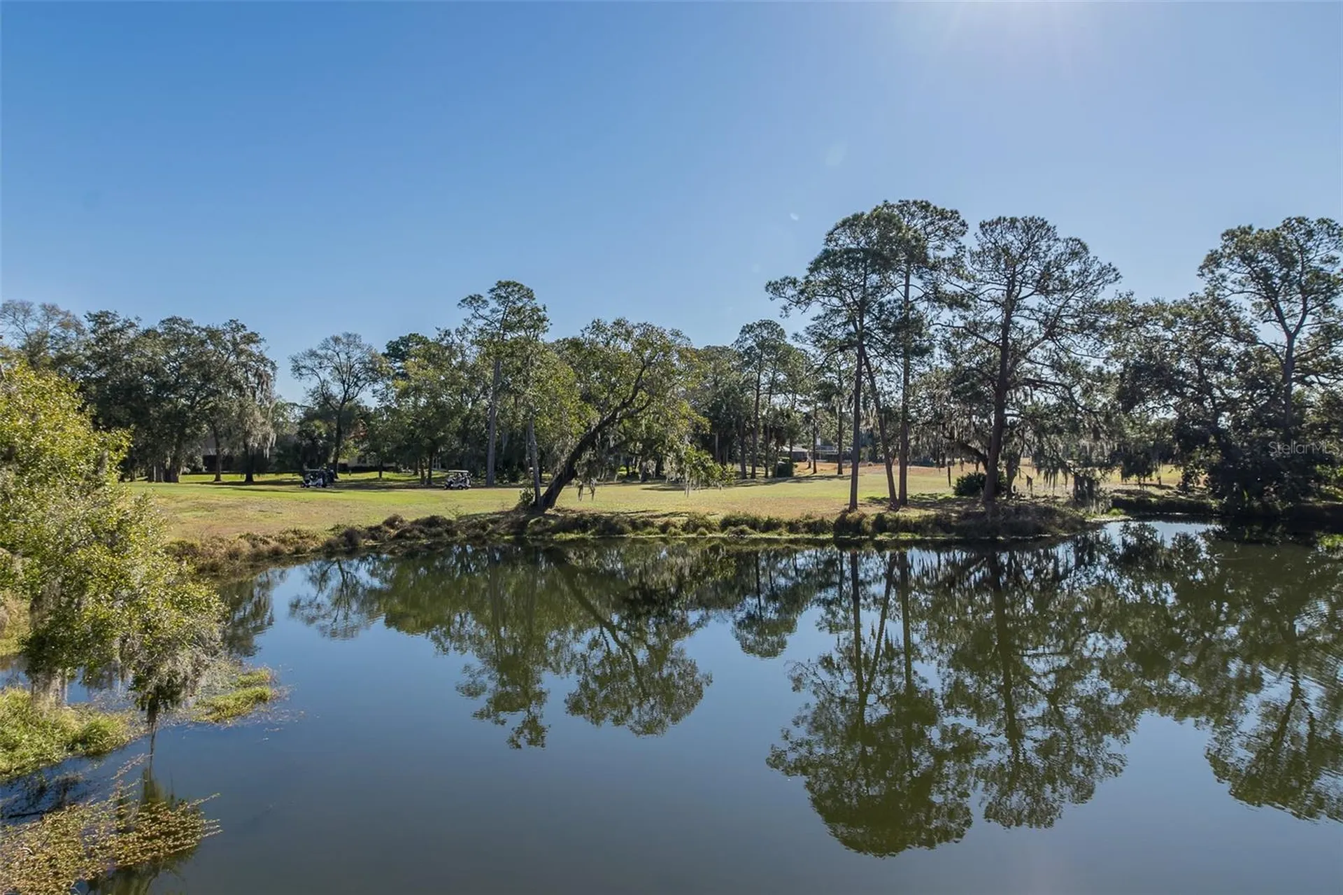 2676 Tanglewood Trail Palm Harbor FL 34685