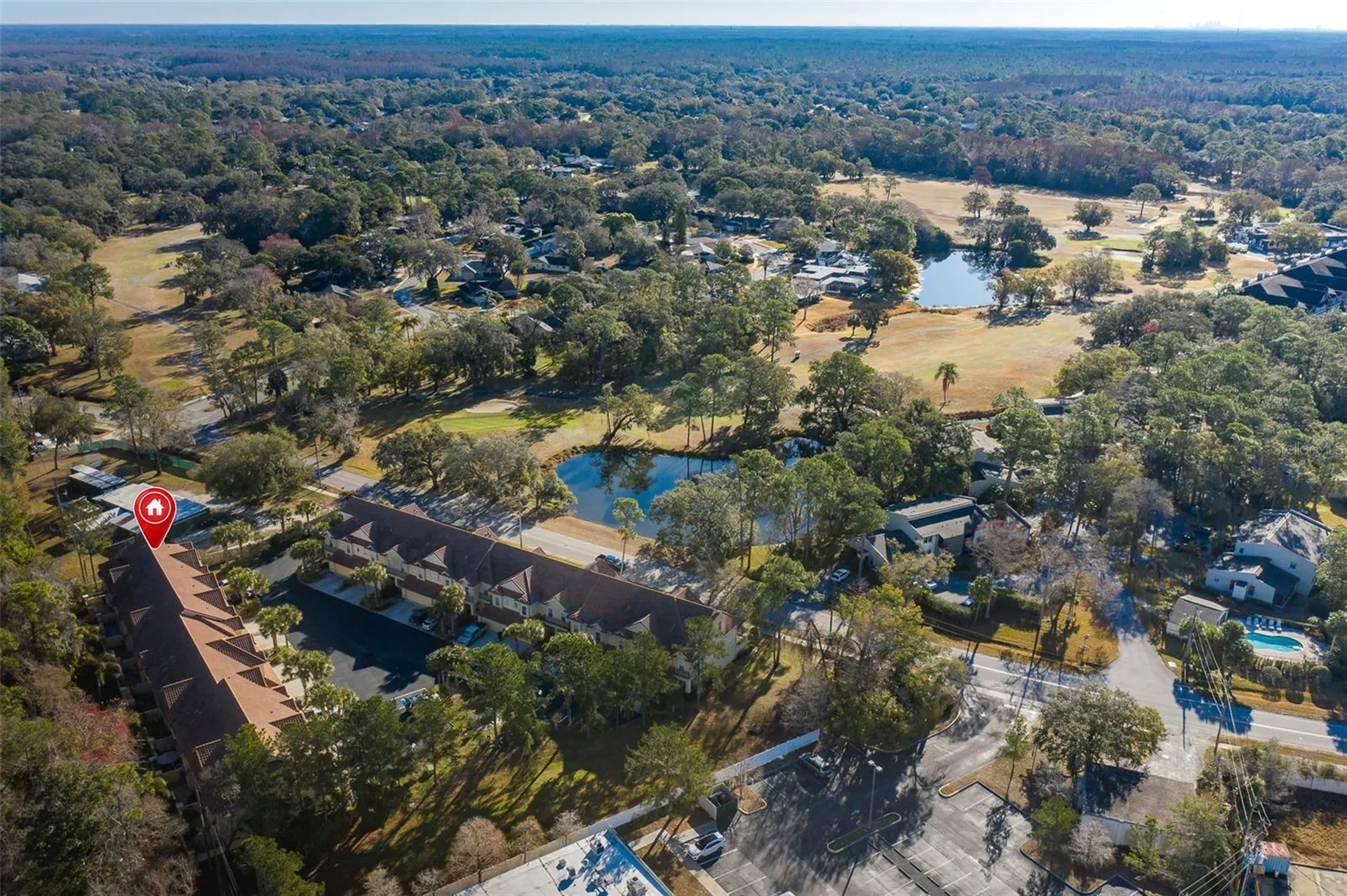 2676 Tanglewood Trail Palm Harbor FL 34685