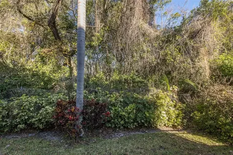 2676 Tanglewood Trail Palm Harbor FL 34685