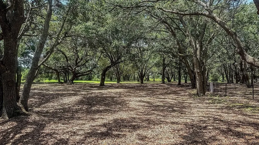 7643 Waterscape Drive Groveland FL 34736
