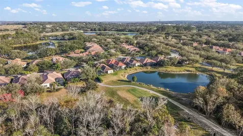 9930 Santa Barbara Court Howey In The Hills FL 34737