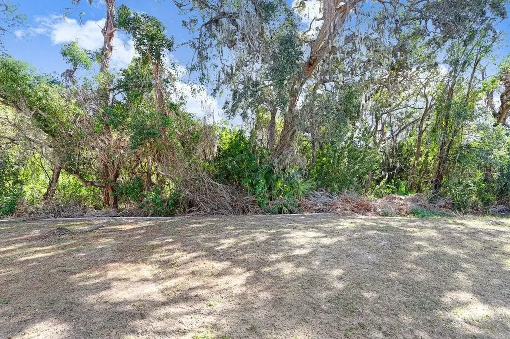 10932 Carlton Fields Drive Riverview FL 33579