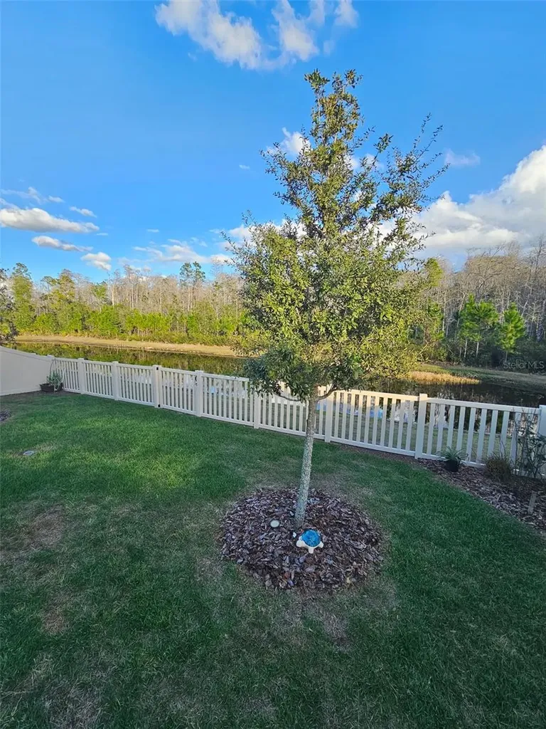 16816 Shell Bay Drive Land O Lakes FL 34638