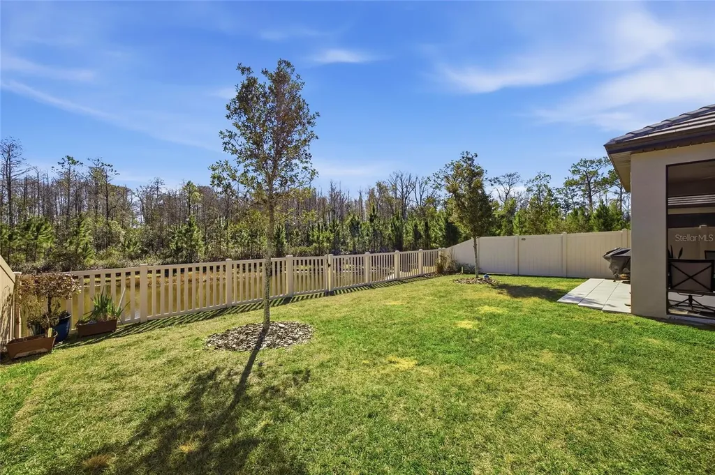 16816 Shell Bay Drive Land O Lakes FL 34638