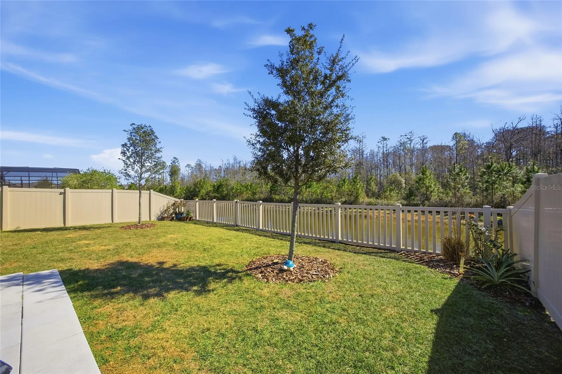16816 Shell Bay Drive Land O Lakes FL 34638