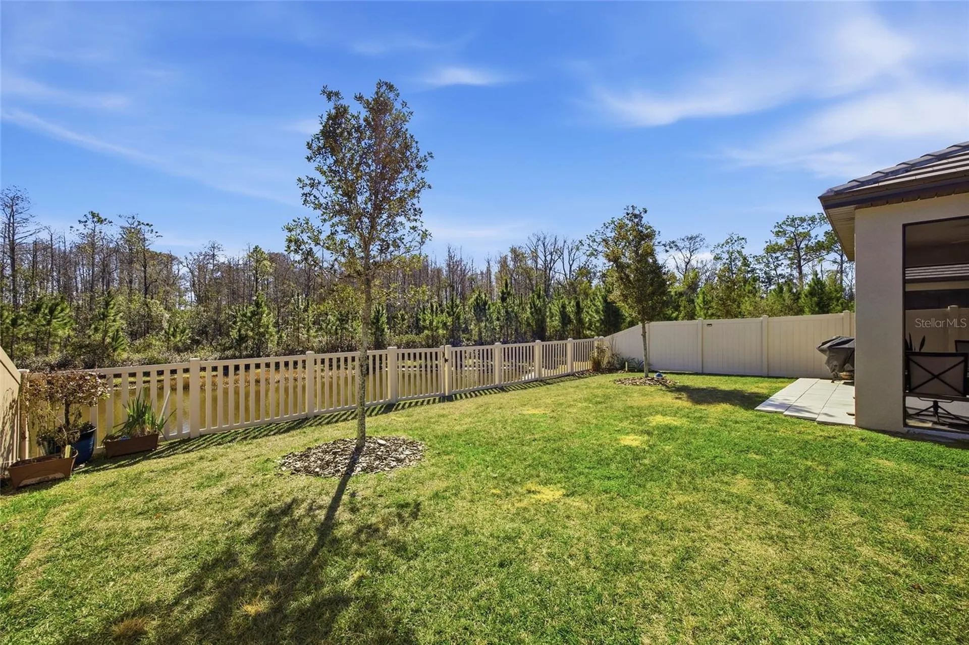 16816 Shell Bay Drive Land O Lakes FL 34638