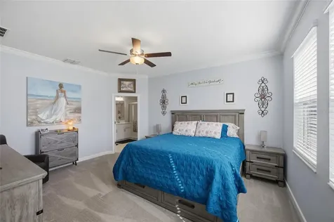 16816 Shell Bay Drive Land O Lakes FL 34638