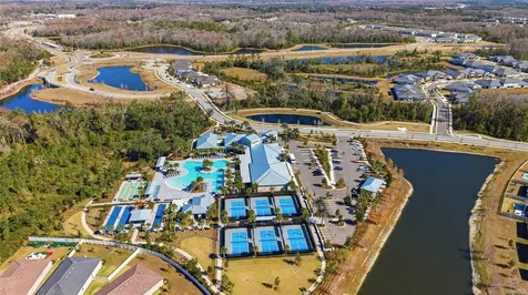 16816 Shell Bay Drive Land O Lakes FL 34638