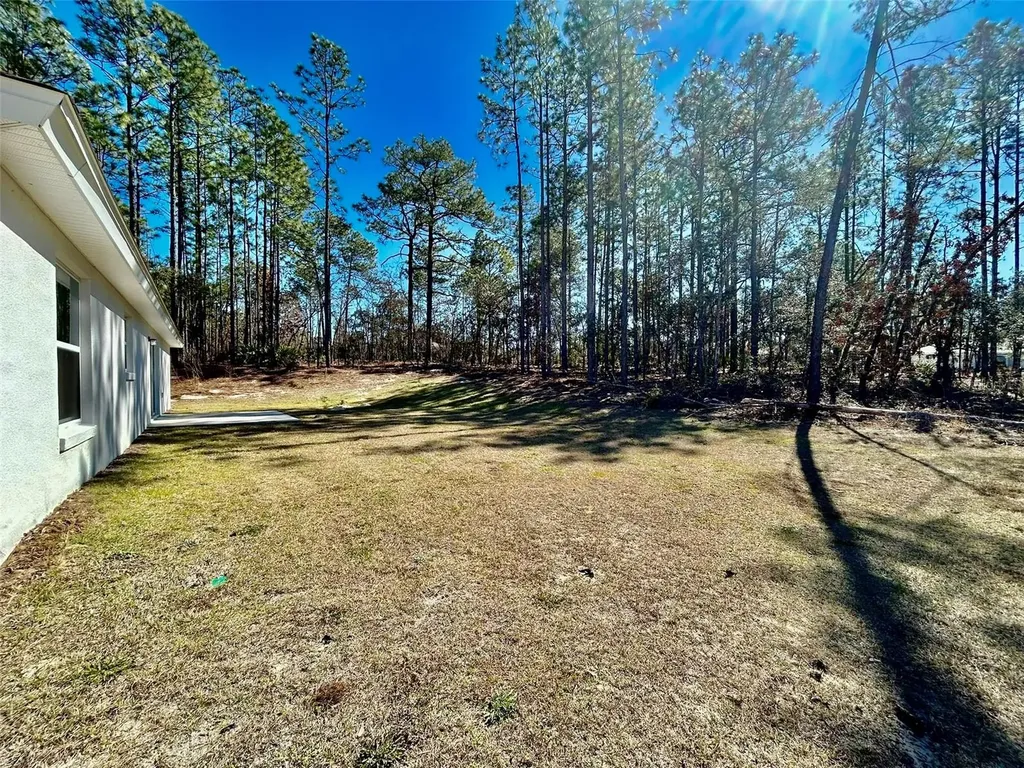 1586 W Gainsboro Lane Citrus Springs FL 34434
