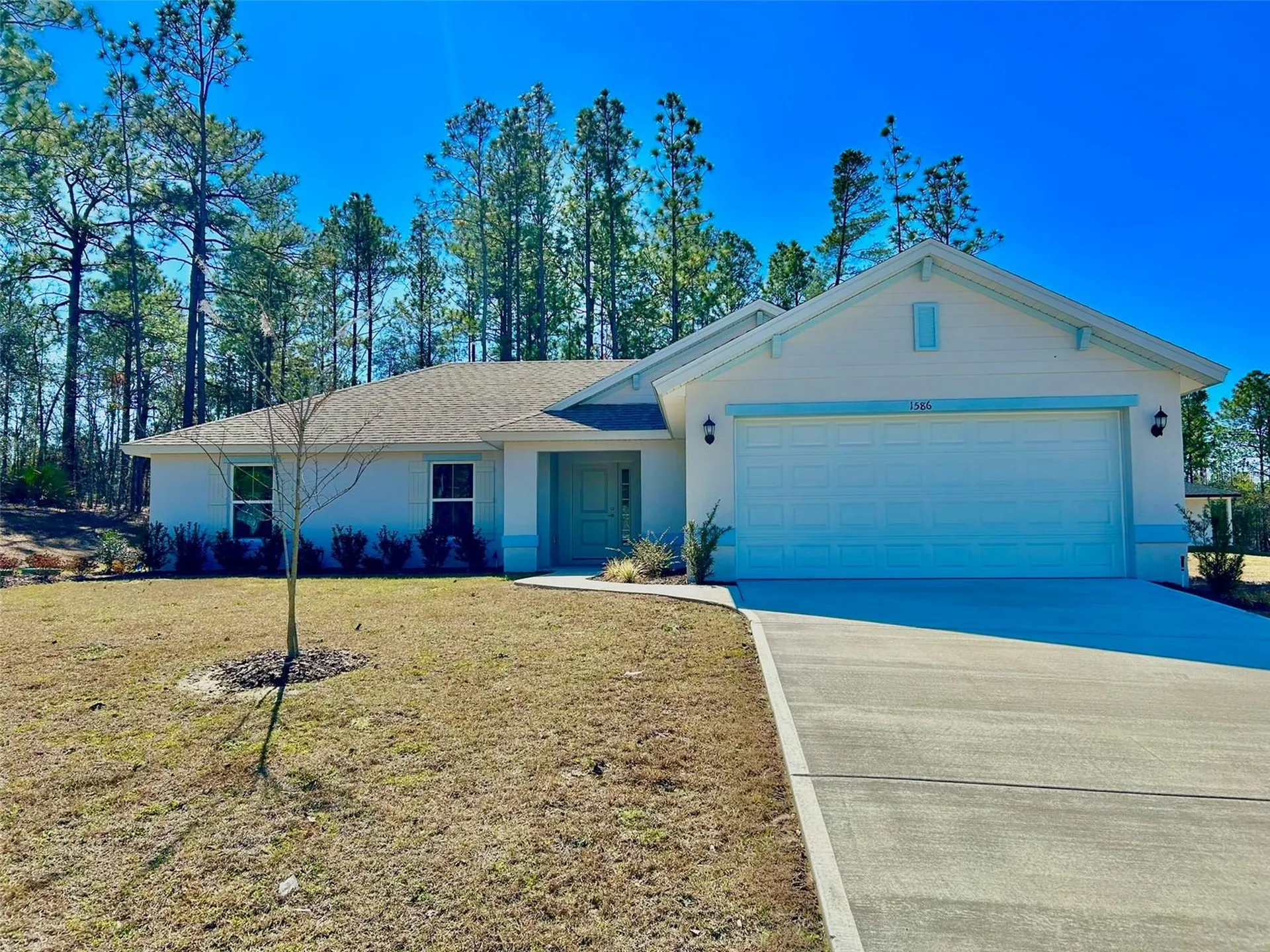 1586 W Gainsboro Lane Citrus Springs FL 34434