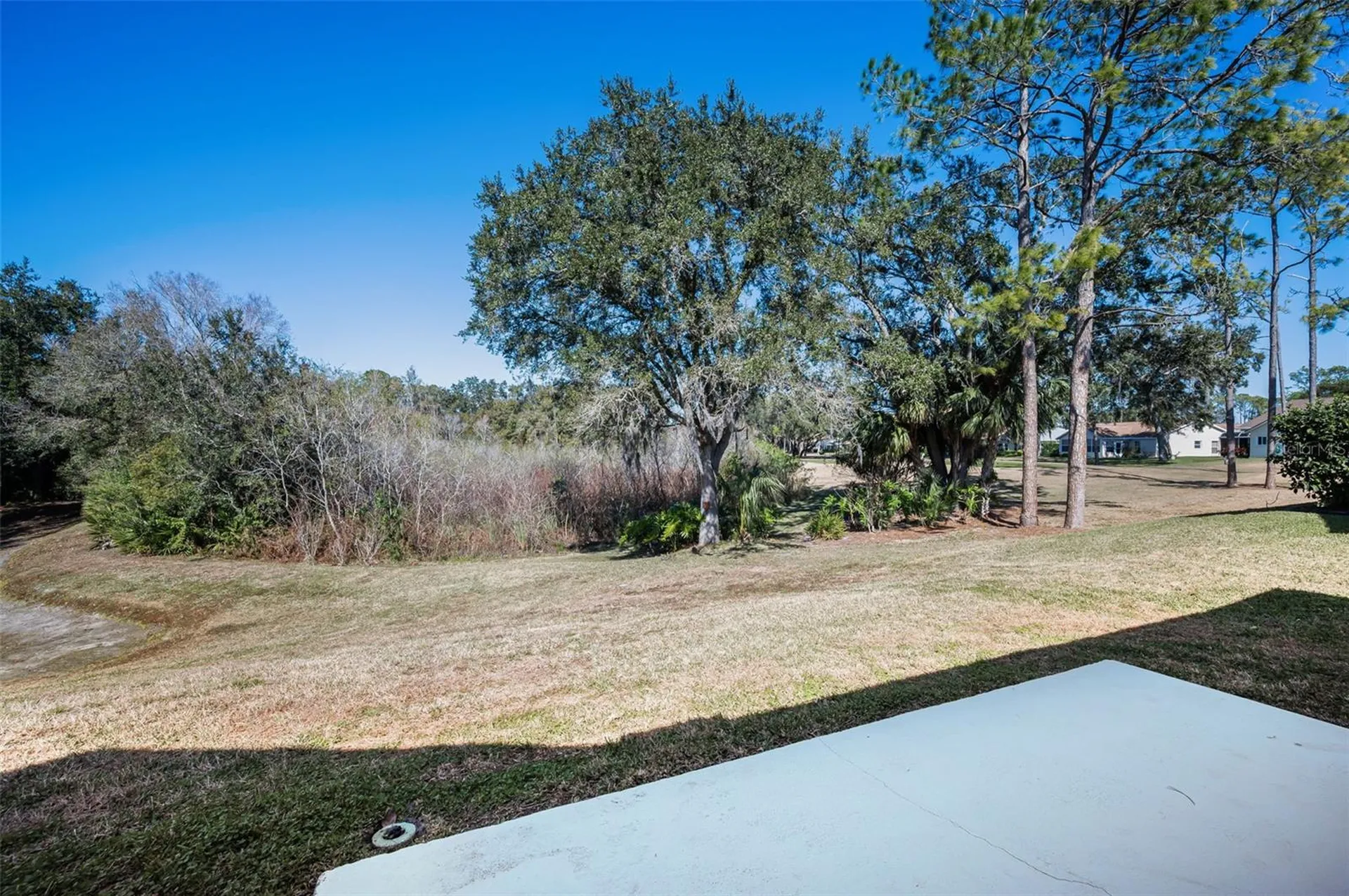 9625 Oakwood Hills Court New Port Richey FL 34655