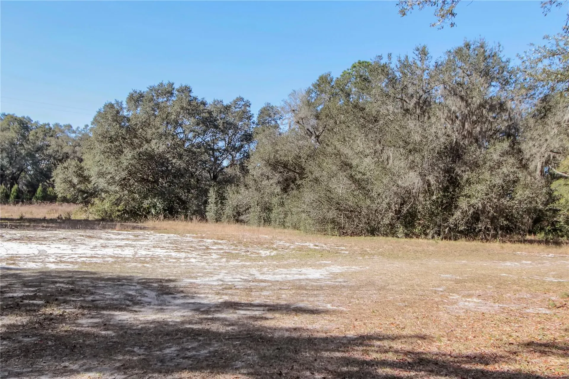 6892 Swain Road Sorrento FL 32776