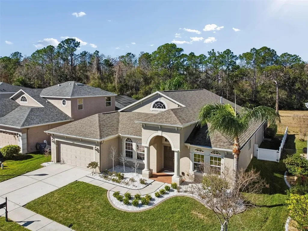 2328 Brinley Drive Trinity FL 34655