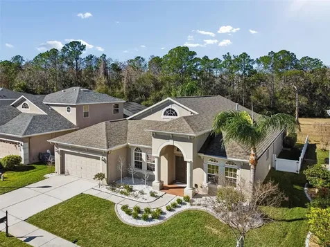 2328 Brinley Drive Trinity FL 34655